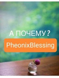 Почему PheonixBlessing